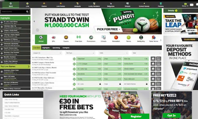 Gig Preview - Sport bet app crash game blackjack poker nft p2e gamble site crypto game website