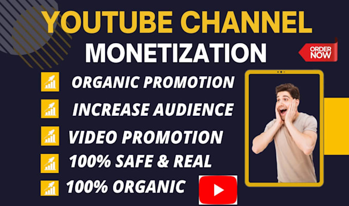 Gig Preview - Do organic youtube video promotion, channel monetization