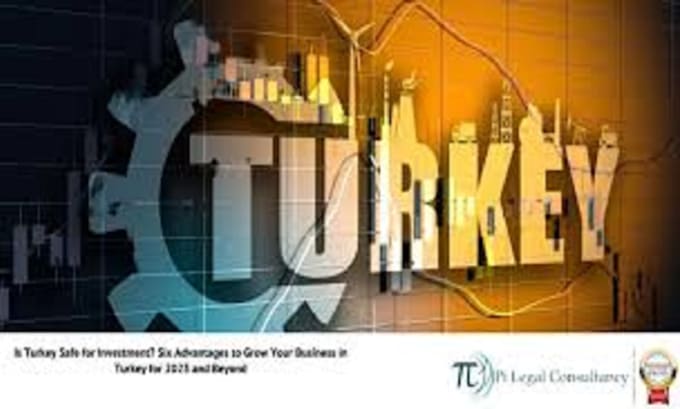 Gig Preview - Provide online legal consultation for matters in turkey