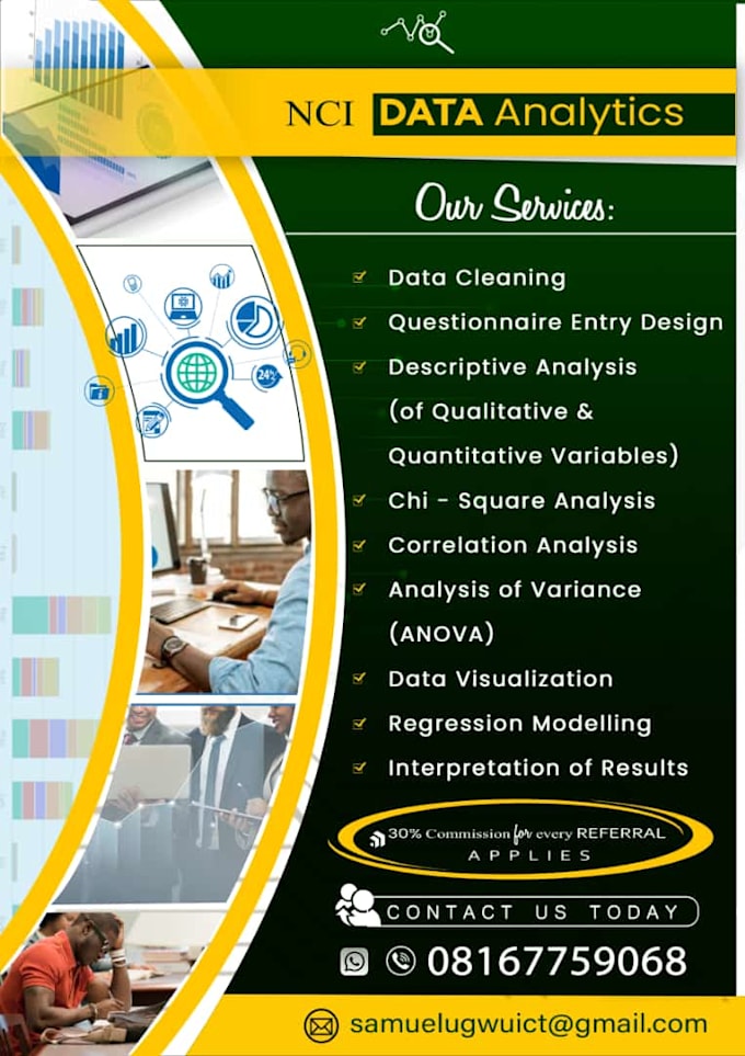 Gig Preview - Analyze and interpret your datasets