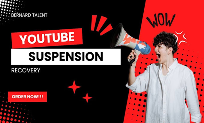 Gig Preview - Appeal a youtube partner program suspension, demonetization for recovery