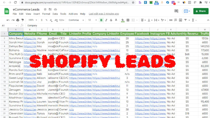 Gig Preview - Do shopify leads ecommerce leads  b2b recruitment leads for any industry