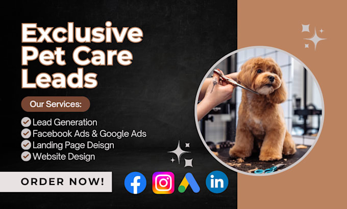 Gig Preview - Pet care leads pet grooming dog grooming leads pet sitting lead pet care website