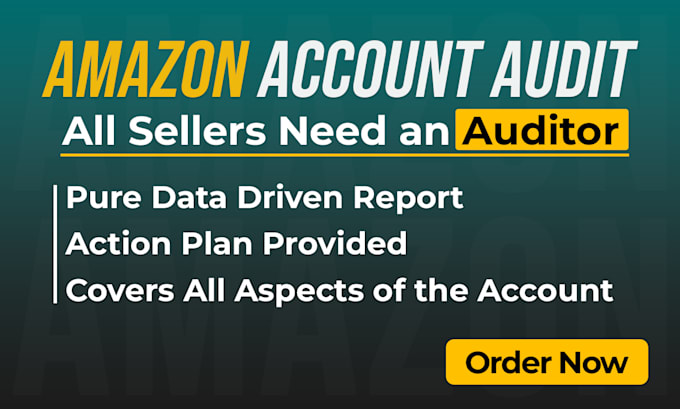 Gig Preview - Briefly audit your amazon account, PPC campaigns, product listing