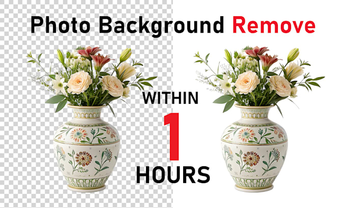 Gig Preview - Professional background removal service for your photos