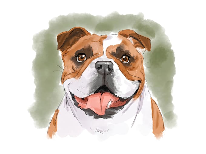 Gig Preview - Draw pet portrait illustration watercolor style