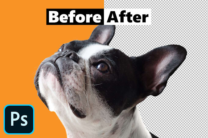 Bestseller - do photo background removal with white or transparent