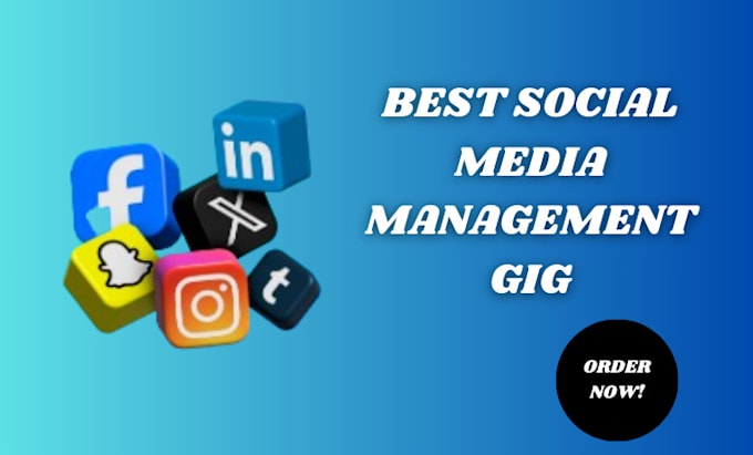 Gig Preview - Do social media management for your pages and boost online presence