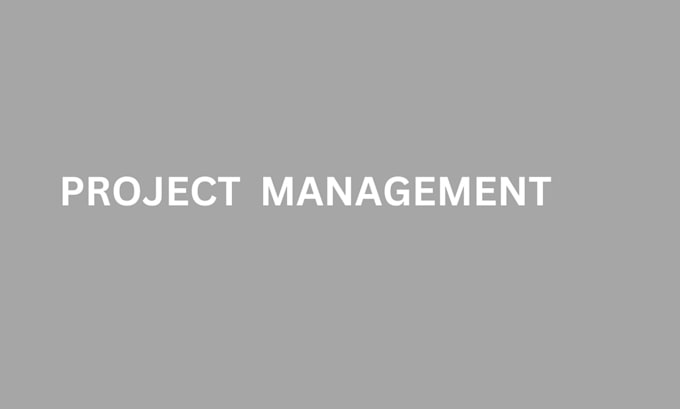 Gig Preview - Be your project management expert