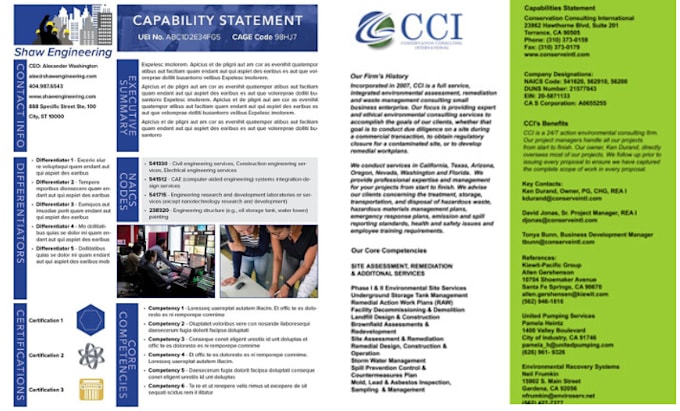 Gig Preview - And design your capability statement