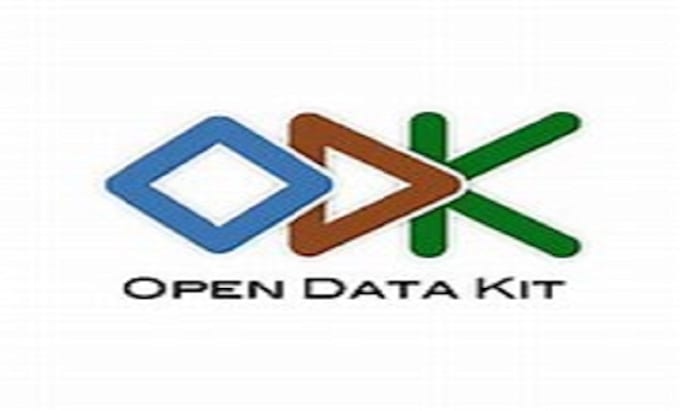 Gig Preview - Create custom kobotoolbox and odk equestionnaire for data collection