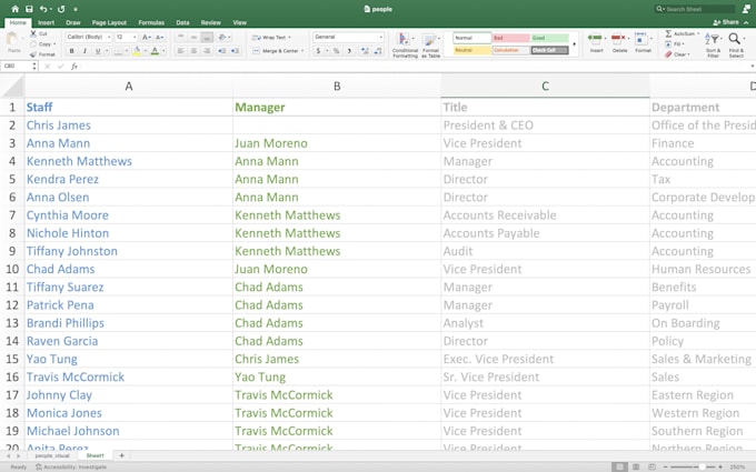 Gig Preview - Organize, clean, and structure your excel sheets