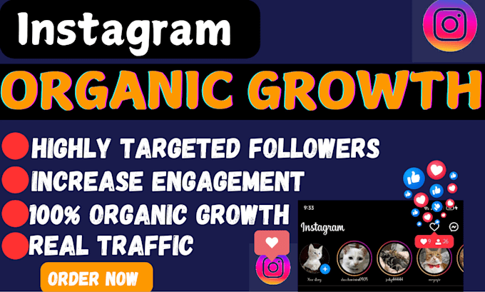 Gig Preview - Do instagram marketing and promotion for super fast organic growth