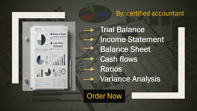 Gig Preview - Do accurate income statement, balance sheet and cash flow statement with ratios