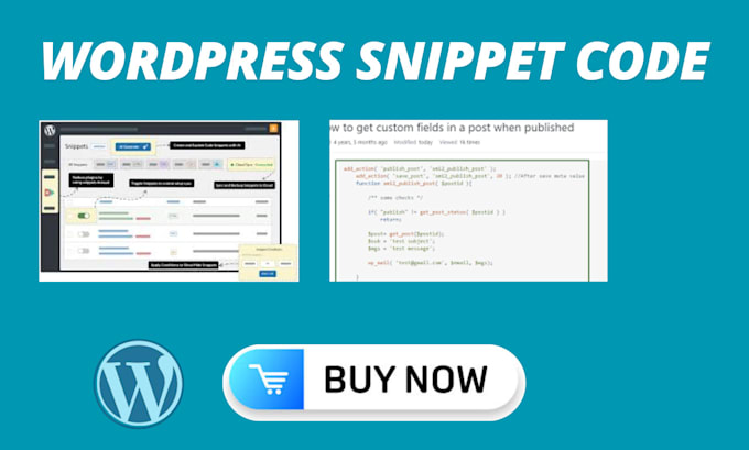 Gig Preview - Add custom features to wordpress website using wordpress code snippet plugin