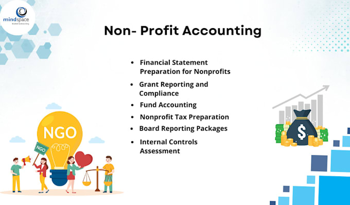 Gig Preview - Help you to know about non profit accounting