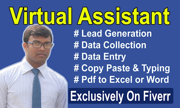 Gig Preview - Be your virtual assistant for data entry service