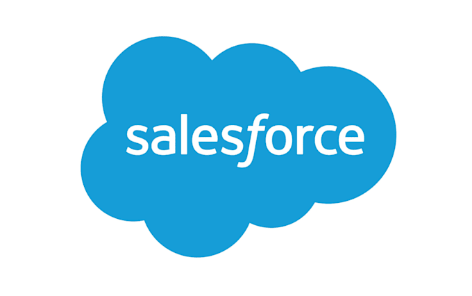 Gig Preview - Be your salesforce consultant project manager