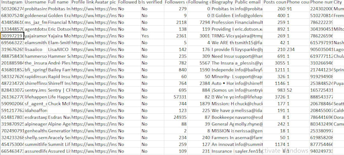 Gig Preview - Do data scraping, website scraping, email collection, phone number collection