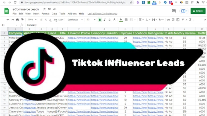 Gig Preview - Find best youtube influencer instagram and tiktok influencer email list