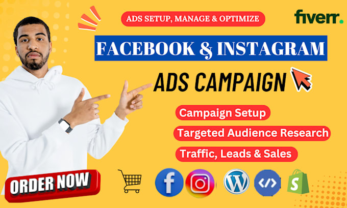 Gig Preview - Set up and manage your facebook and instagram ads campaigns