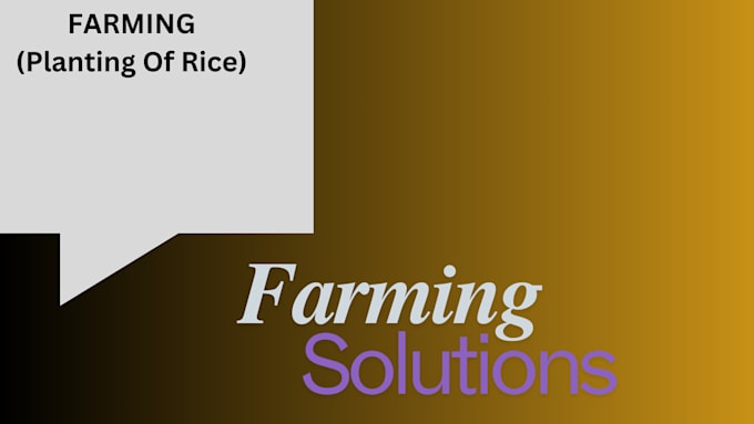 Bestseller - plant rice as crops in farmland