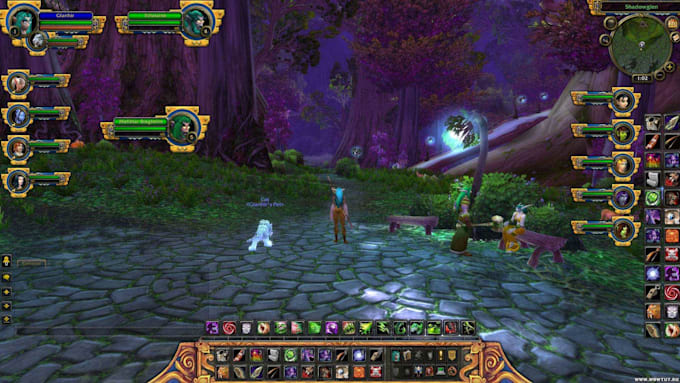 Gig Preview - Create perfect custom, high quality world of warcraft addons