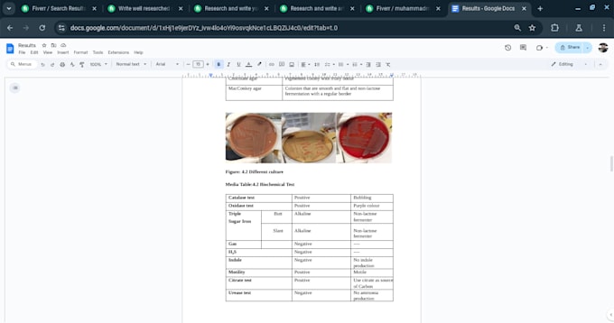 Gig Preview - Write well researched medical article and case study