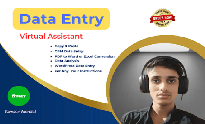 Gig Preview - Do data entry expert and virtual assistant service provide