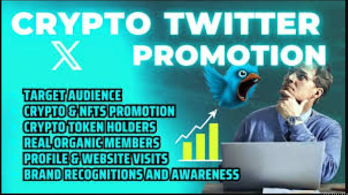 Gig Preview - Promote your solana or meme coin through targeted twitter reposts and marketing