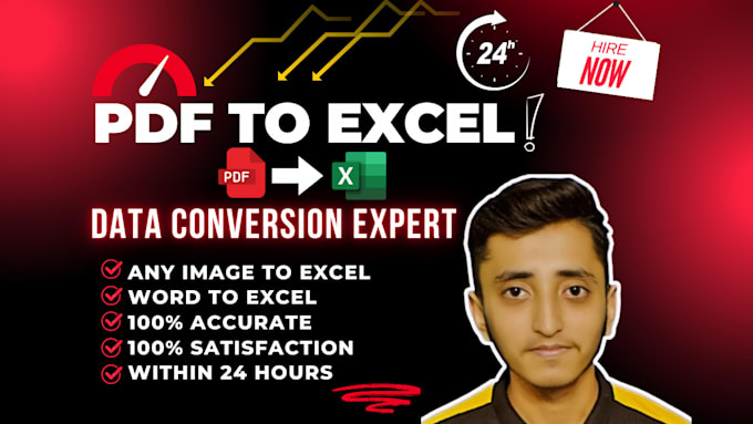 Gig Preview - Accurately convert PDF to excel or word to excel