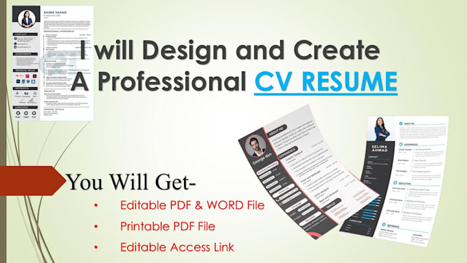 Gig Preview - Design and create a job landing professional CV resume