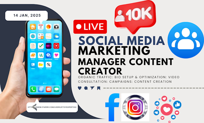 Gig Preview - Social media marketing manager content creator, tiktok ads manager, virtual asst