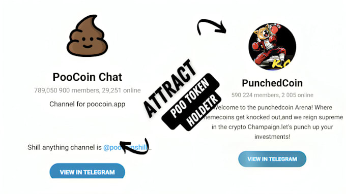 Gig Preview - Run telegram promotion to attract poocoin traders to your meme token