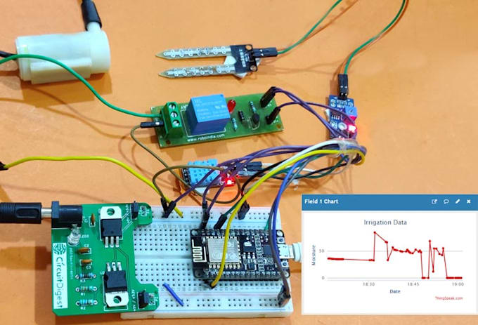 Gig Preview - Do your iot project