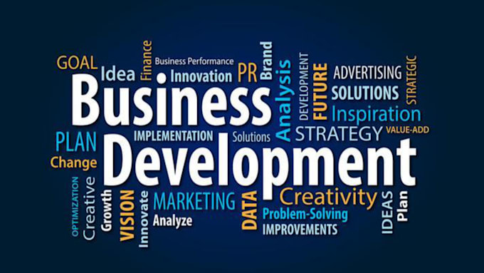 Gig Preview - Create a custom business development plan for your startup