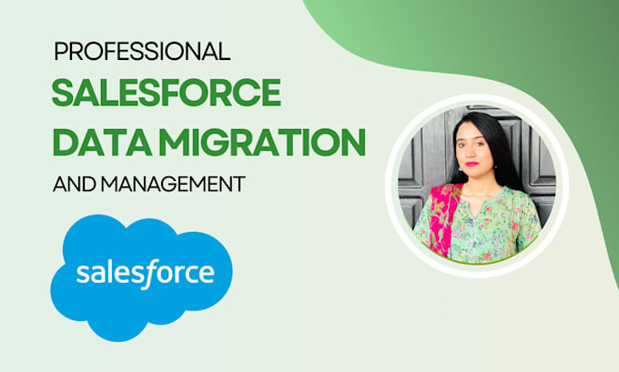 Gig Preview - Do salesforce data management and migration