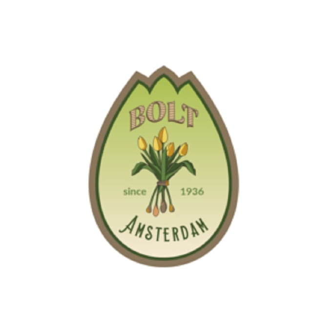 Gig Preview - Make professional perfect bolt amsterdam logo