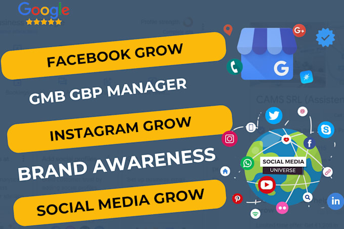 Gig Preview - Organic grow facebook, instagram, gbp, social media grow for brand awareness