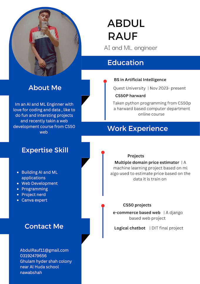 Gig Preview - Create a professional CV for yourself