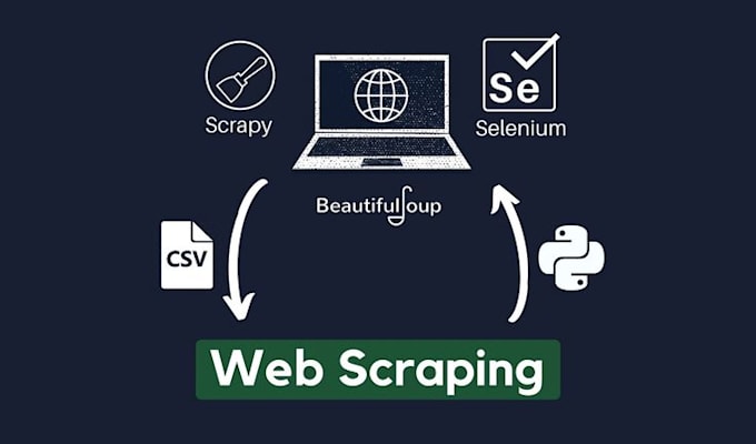 Gig Preview - Create custom web scraping solutions using python