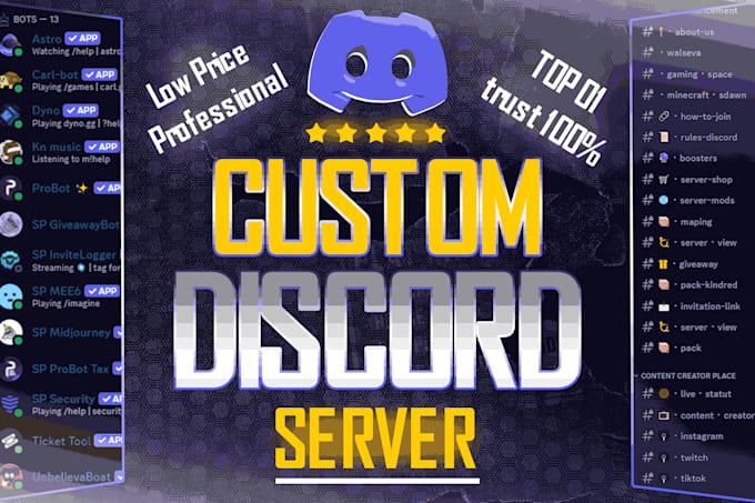 Gig Preview - Setup a professional discord server for gaming or nft or community