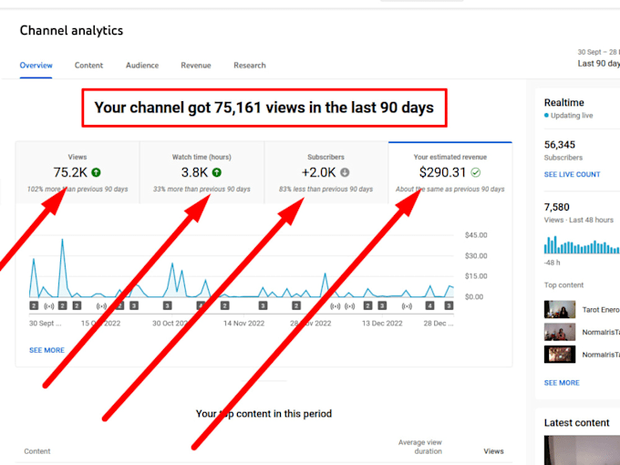 Gig Preview - Do supersonic youtube promotion, boost channel performance, grow subscription