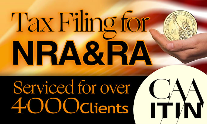 Gig Preview - Do tax filing for ra and nra