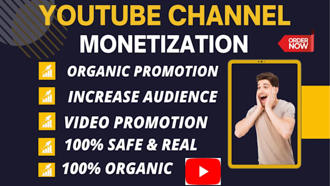 Gig Preview - Complete youtube channel monetization, organic growth, viral videos promotion