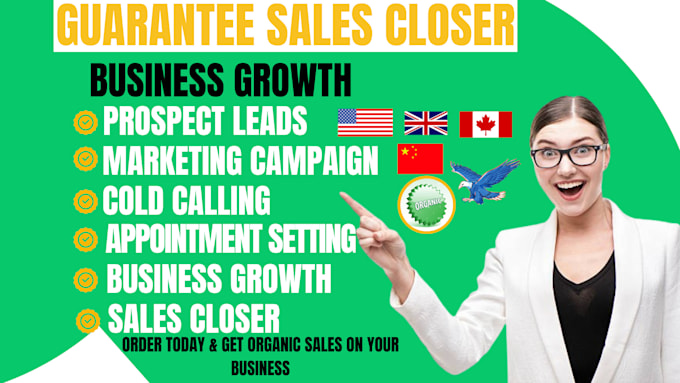 Gig Preview - Be your long salesperson salespersonal high ticket sales to boost business agent