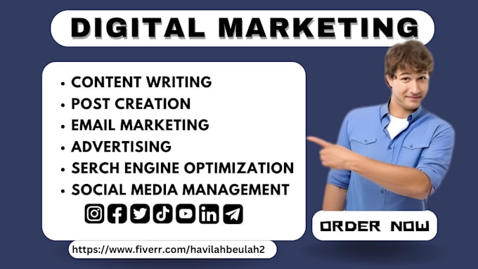 Gig Preview - Provide you with a complete digital marketing package of services