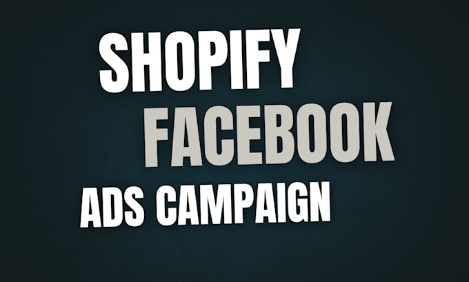 Gig Preview - Setup shopify facebook and instagram ads campaign