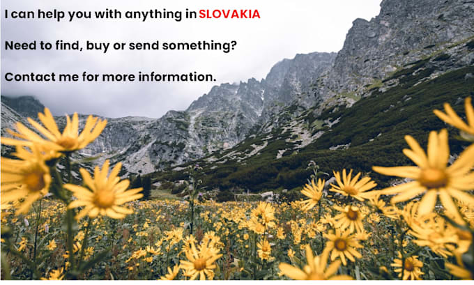 Bestseller - help you with anything in slovakia, from leisure to business