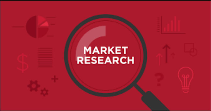 Gig Preview - Do professional market research for your business